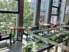 -了不起的考拉咖啡店(高新店)