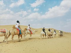 -银肯塔拉沙漠生态旅游景区