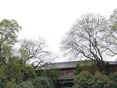 -灵谷景区