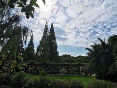 -白马涧龙池景区