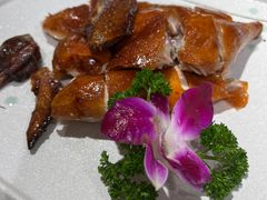 -东海海鲜酒家(流花店)