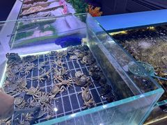 -聚盛源蒸汽海鲜火锅烤肉自助(巨川金海岸购物广场店)