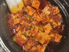 麻婆豆腐-初蓉丨遇见新川菜(亲贤街荣耀店)