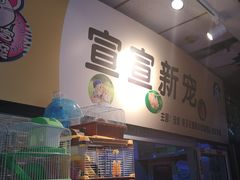 -宝鸡东道花鸟鱼虫市场(吉利花园商场店)