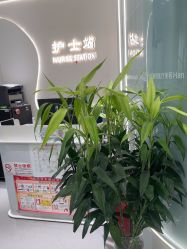 -联合丽格·张菡丽格医疗美容