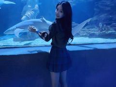 -太平洋海底世界