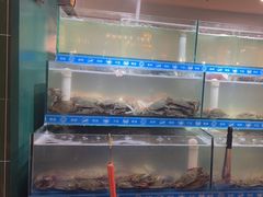 -尚宴牛特鲜自助(太原街万达店)