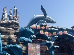 -杭州长乔极地海洋公园