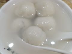 -海丝金凤(金鱼店)