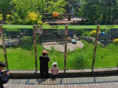 -大连森林动物园