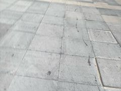 -7017浙菜•建德味(中财店)