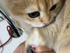 -佳雯宠物医院·皮肤科·内外科(春晓路分院)