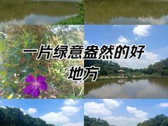 -南国桃园旅游度假区