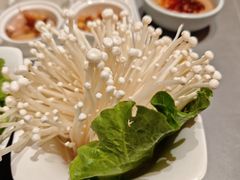 -额尔敦传统涮(体育场店)