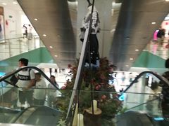 -凯德MALL(望京店)