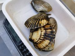 -本达人海鲜烧烤·朝鲜族风味(发展店)