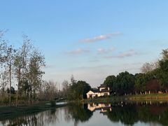 -合肥滨湖国家森林公园