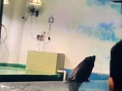 -嘉兴海底世界