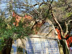 -乌山风景区