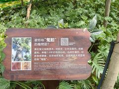 -南宫五洲植物乐园