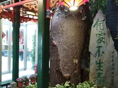 -楚畹园