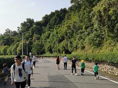 -火炉山森林公园