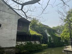 -鲁镇