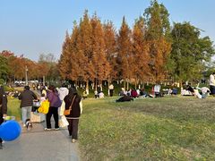 -白鹭湾湿地公园