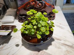 -食鲜捞火锅(湖西路店)