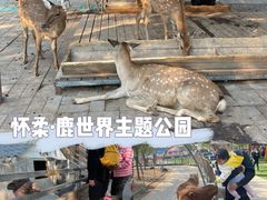 -北京鹿世界主题园