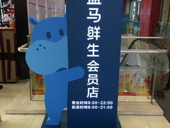 -盒马鲜生(大成店)