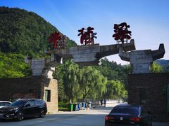 -牛背梁国家森林公园