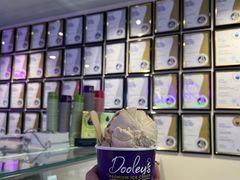 -Dooley's Premium Ice Cream