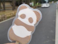 -安吉竹博园