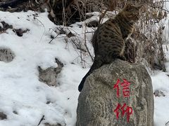 -终南山南五台景区