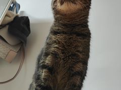 -Wagas沃歌斯(正大乐城店)