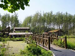 -溱湖国家湿地公园