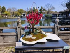 -桃源居(蠡园店)