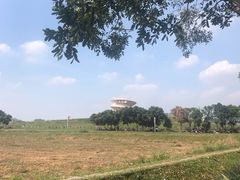 -光明小镇欢乐田园