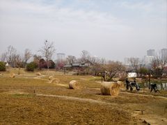 -南阳卧龙岗武侯祠