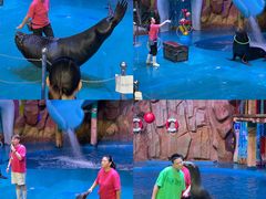 -烟台海昌鲸鲨海洋公园