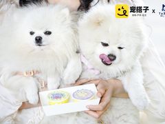 -中海环宇荟
