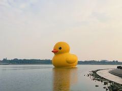 -深圳人才公园