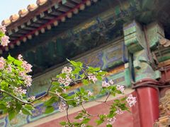 -故宫博物院(故宫)