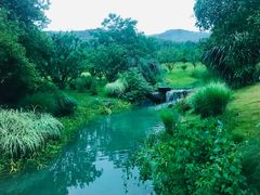 -杭州植物园