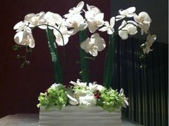 iphone_upload_pic-榛悦隆堡成都酒店(春熙路太古里店)