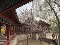 -北坞公园