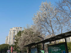 -白塘生态植物园