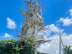 -芒洲湿地公园