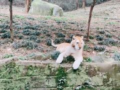-乐和乐都主题乐园